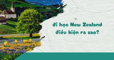 Điều kiện xin visa du học New Zealand